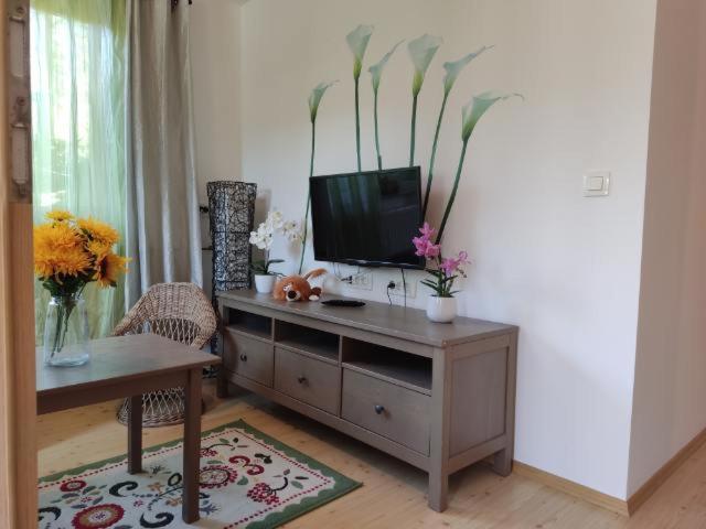 Dream Apartment Brglez Bohinjska Bela Extérieur photo